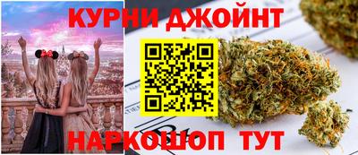 молекула духа Пугачёв