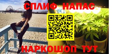 молекула духа Пугачёв