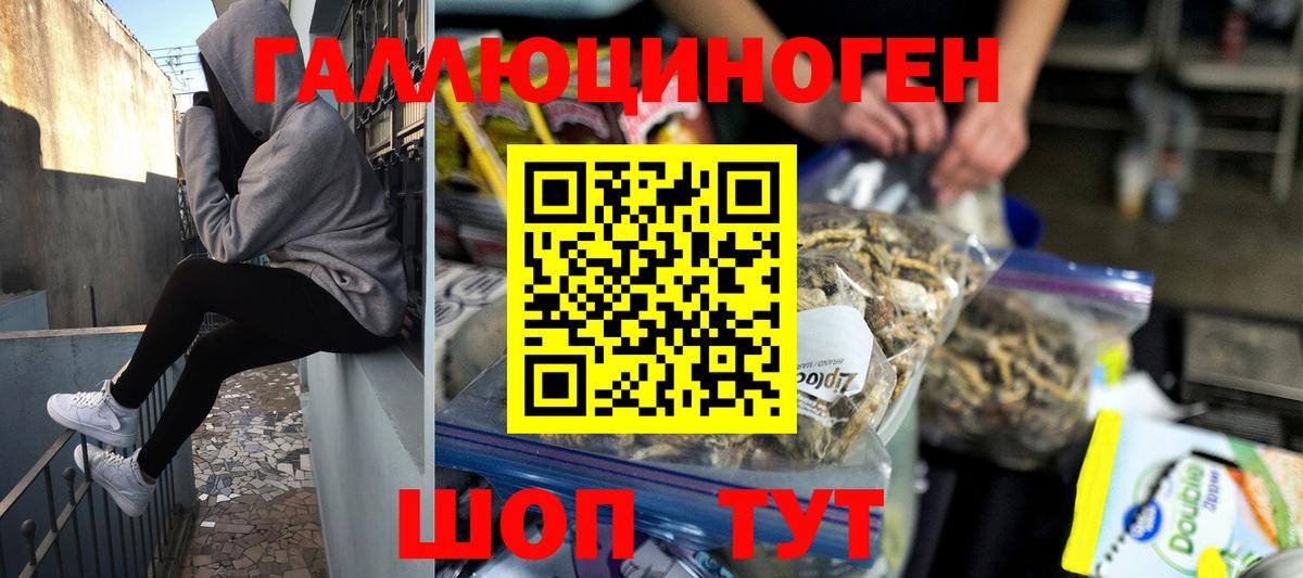 Псилоцибиновые грибы Psilocybe  Вход с VPN  Прохладный 